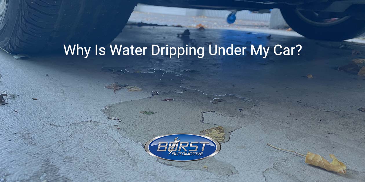 Why Is Water Dripping Under My Car?