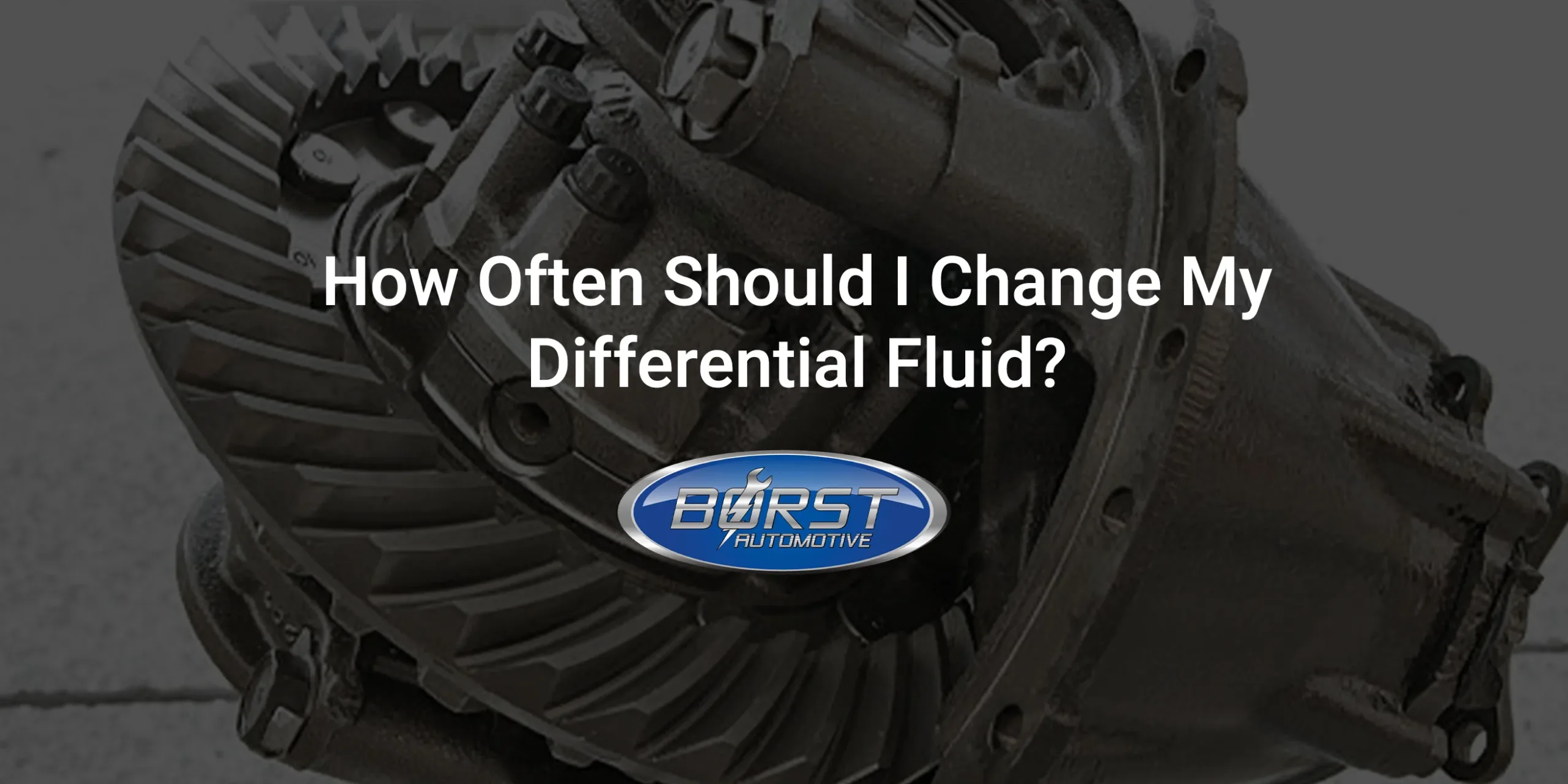 How Often Should I Change My Differential Fluid?